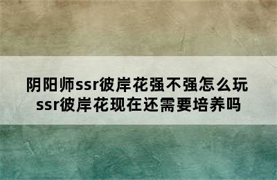 阴阳师ssr彼岸花强不强怎么玩 ssr彼岸花现在还需要培养吗